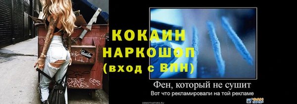 твердый Абаза