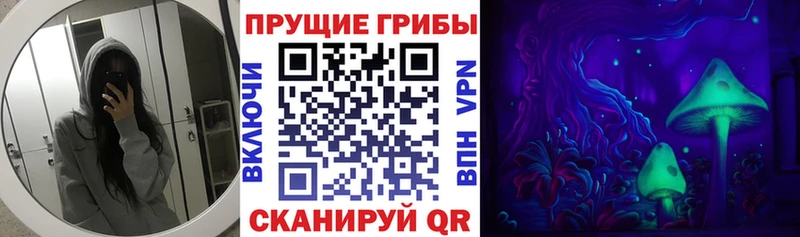 Галлюциногенные грибы Magic Shrooms  цены   Тобольск 